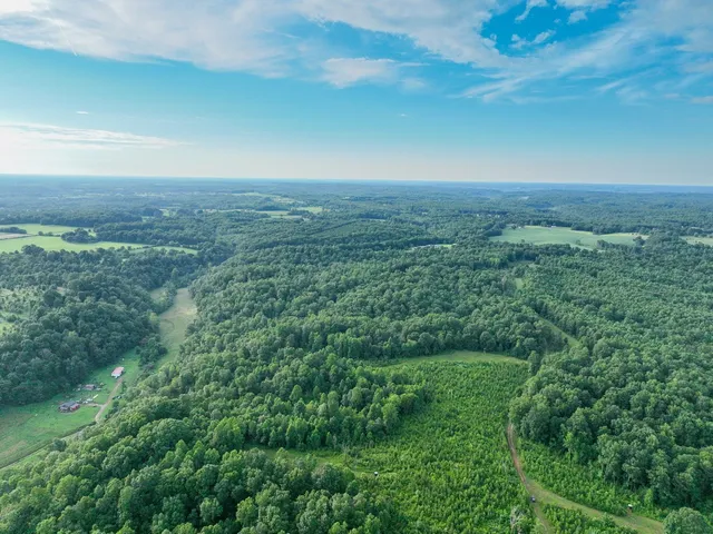 $1,400,000 | 0 West Hollow Road, Goodspring, TN 38460