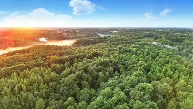 $1,400,000 | 0 West Hollow Road, Goodspring, TN 38460