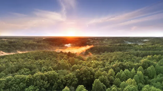 $1,400,000 | 0 West Hollow Road, Goodspring, TN 38460