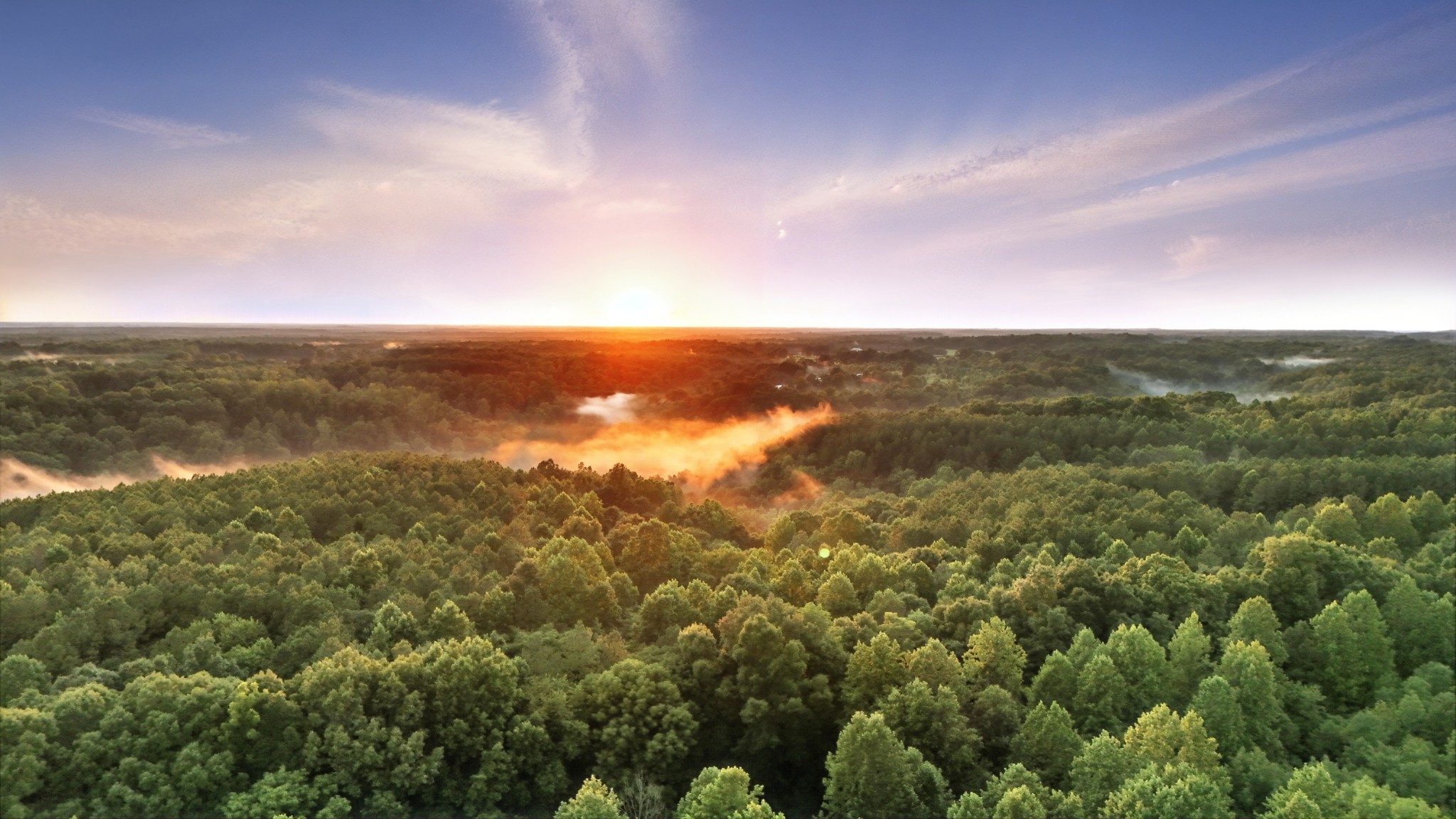 0 West Hollow Road Goodspring, TN 38460 - Photo 71 of 99 an aerial view of residential houses with outdoor space and trees