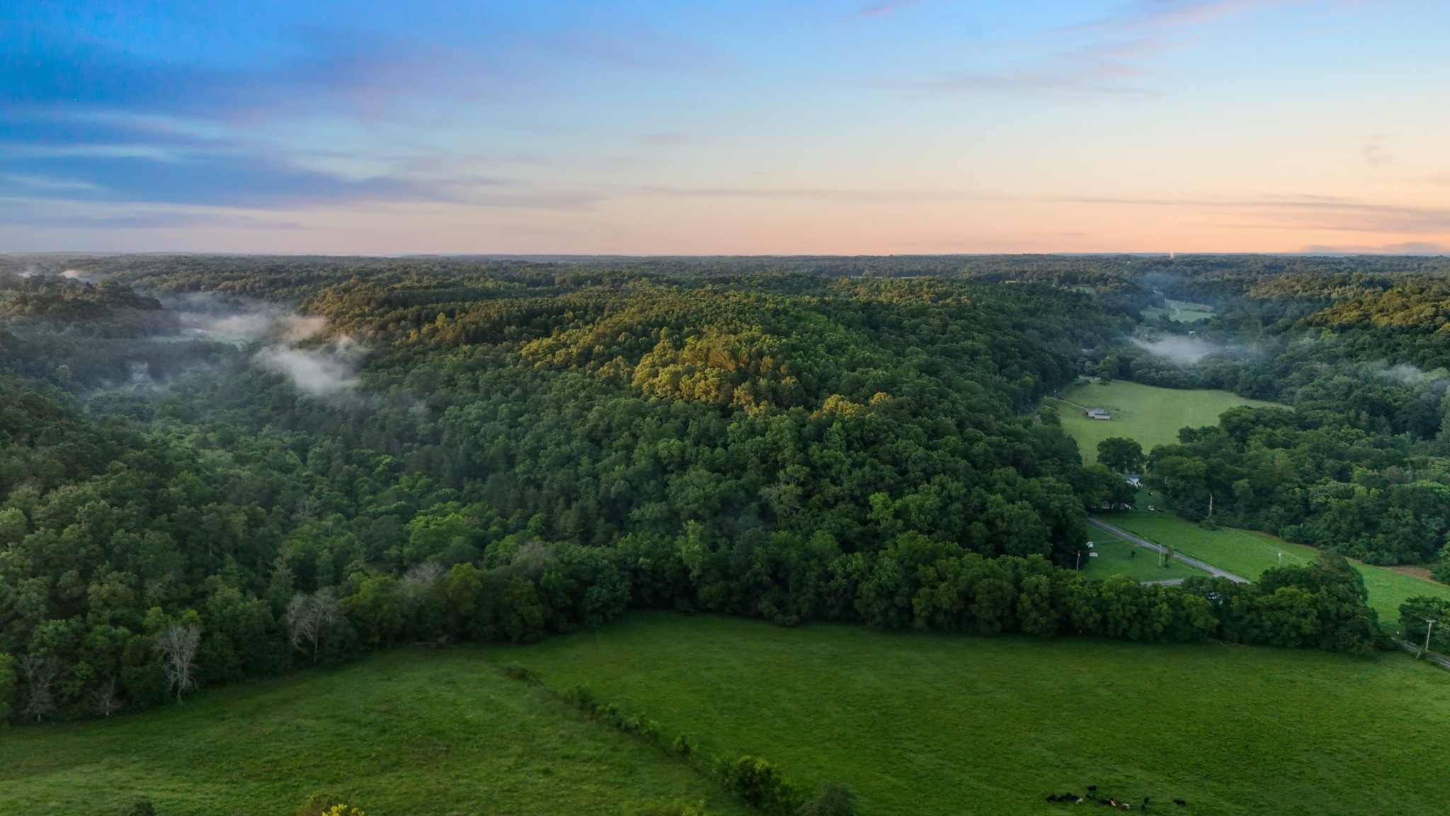 0 West Hollow Road Goodspring, TN 38460 - Photo 74 of 99 a view of a big yard with plants and large trees
