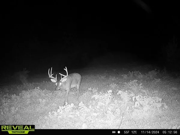 $1,400,000 | 0 West Hollow Road, Goodspring, TN 38460