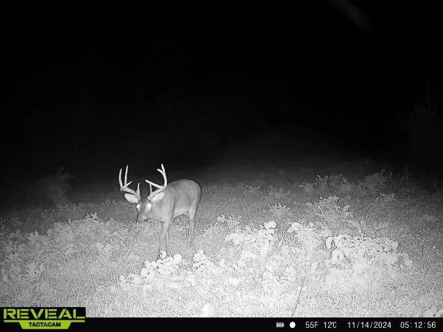 $1,400,000 | 0 West Hollow Road, Goodspring, TN 38460