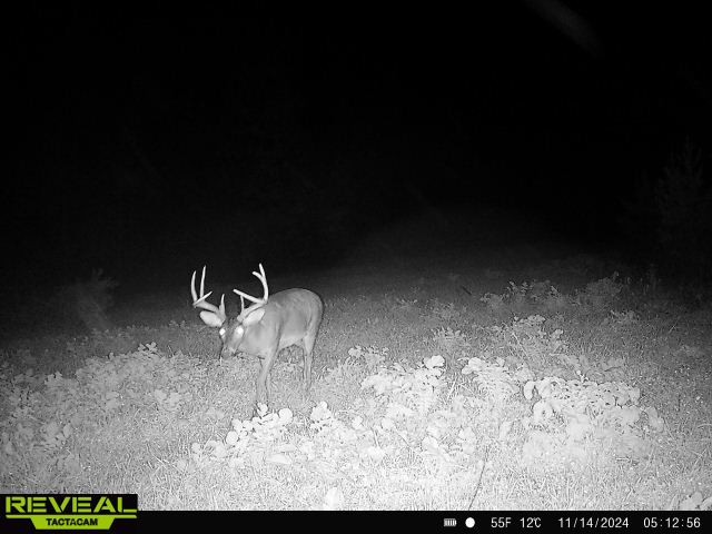 0 West Hollow Road Goodspring, TN 38460 - Photo 76 of 99