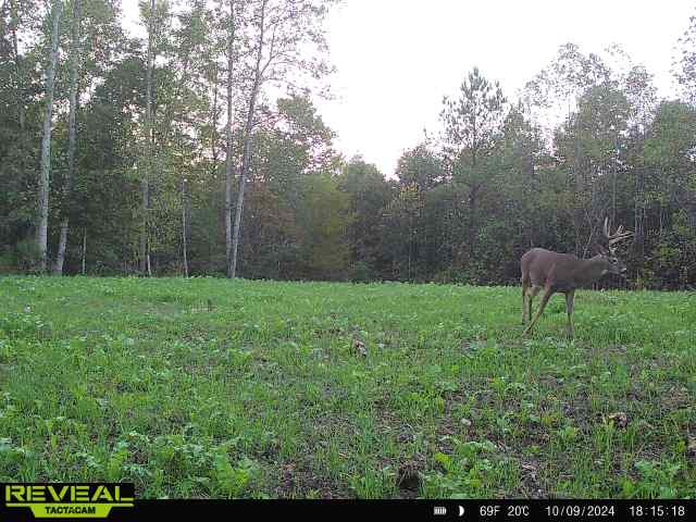 0 West Hollow Road Goodspring, TN 38460 - Photo 79 of 99 a backyard of a house with lots of green space