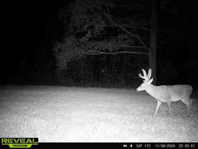 0 West Hollow Road Goodspring, TN 38460 - Photo 80 of 99 a backyard of a house with table and chairs