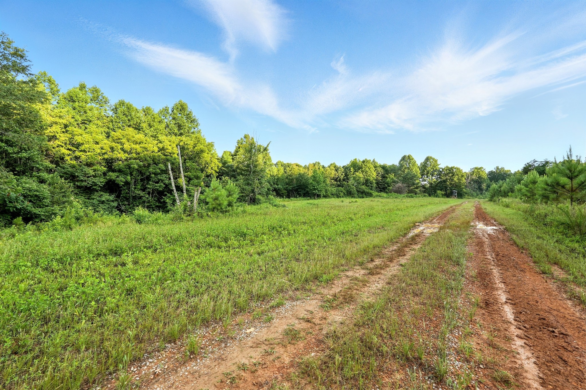 0 West Hollow Road Goodspring, TN 38460 - Photo 8 of 99