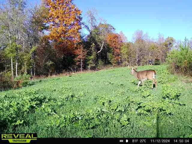 $1,400,000 | 0 West Hollow Road, Goodspring, TN 38460