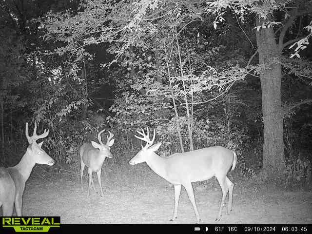 0 West Hollow Road Goodspring, TN 38460 - Photo 82 of 99