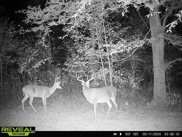 $1,400,000 | 0 West Hollow Road, Goodspring, TN 38460