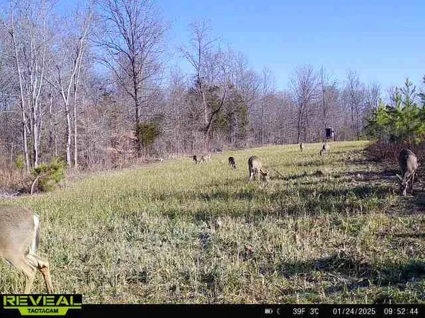 $1,400,000 | 0 West Hollow Road, Goodspring, TN 38460