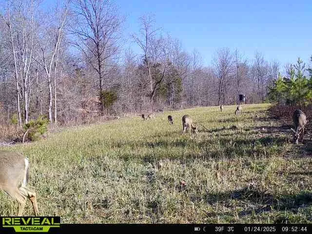 $1,400,000 | 0 West Hollow Road, Goodspring, TN 38460