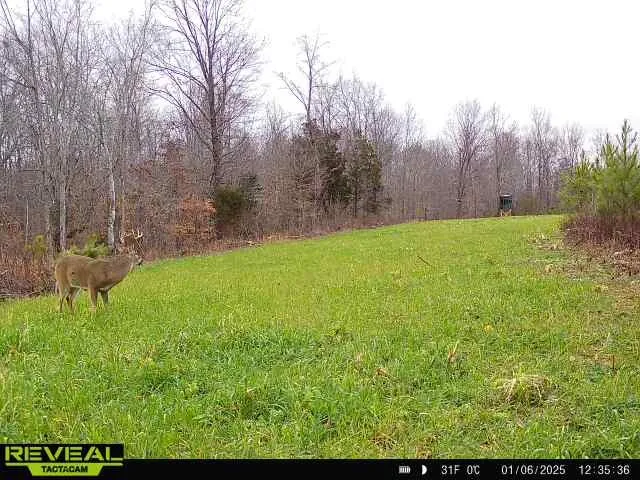 $1,400,000 | 0 West Hollow Road, Goodspring, TN 38460