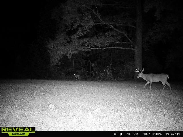 0 West Hollow Road Goodspring, TN 38460 - Photo 86 of 99