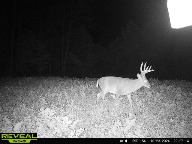 0 West Hollow Road Goodspring, TN 38460 - Photo 87 of 99 a balcony with table and chairs