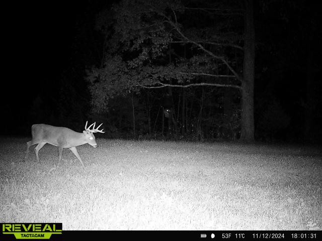 0 West Hollow Road Goodspring, TN 38460 - Photo 89 of 99