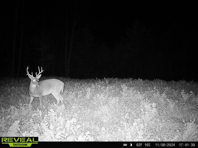 0 West Hollow Road Goodspring, TN 38460 - Photo 91 of 99 a view of table and chairs in wooden floor
