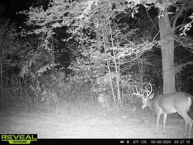 $1,400,000 | 0 West Hollow Road, Goodspring, TN 38460