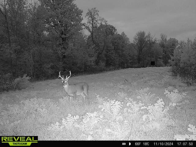 0 West Hollow Road Goodspring, TN 38460 - Photo 96 of 99 a view of a dry yard