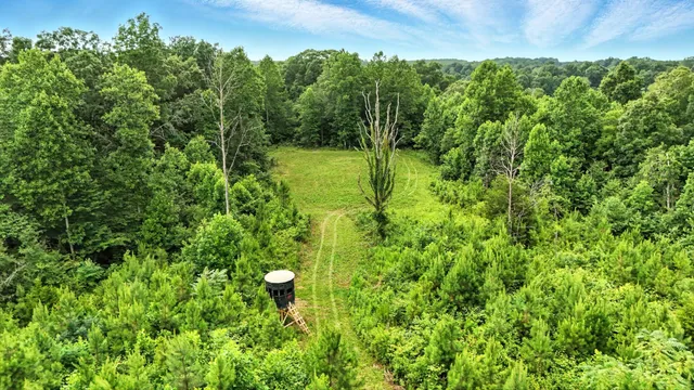 a view of a yard with an outdoor space