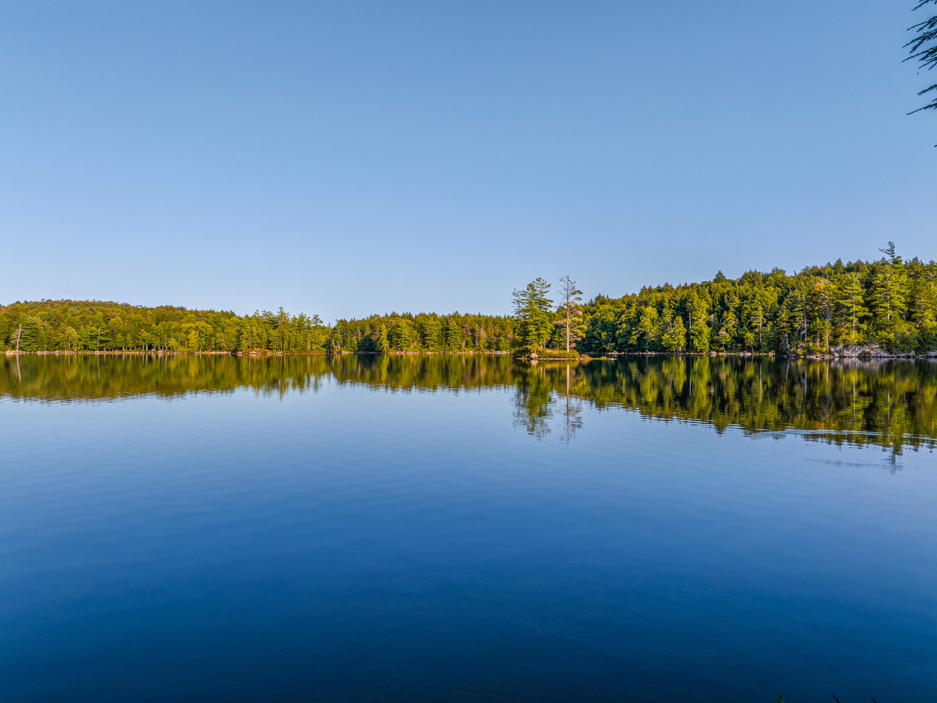 36 Gull Pond Road Tupper Lake, NY 12986 - Photo 60 of 61 36 Gull Pond Rd-23