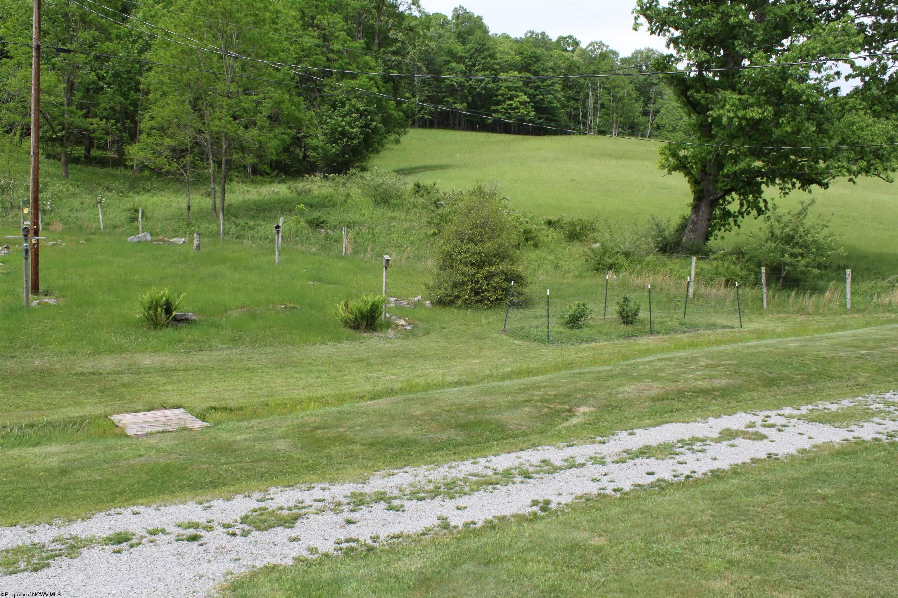 674 Laurel Fork Road Webster Springs, WV 26288 - Photo 22 of 31 Gallery Image 22