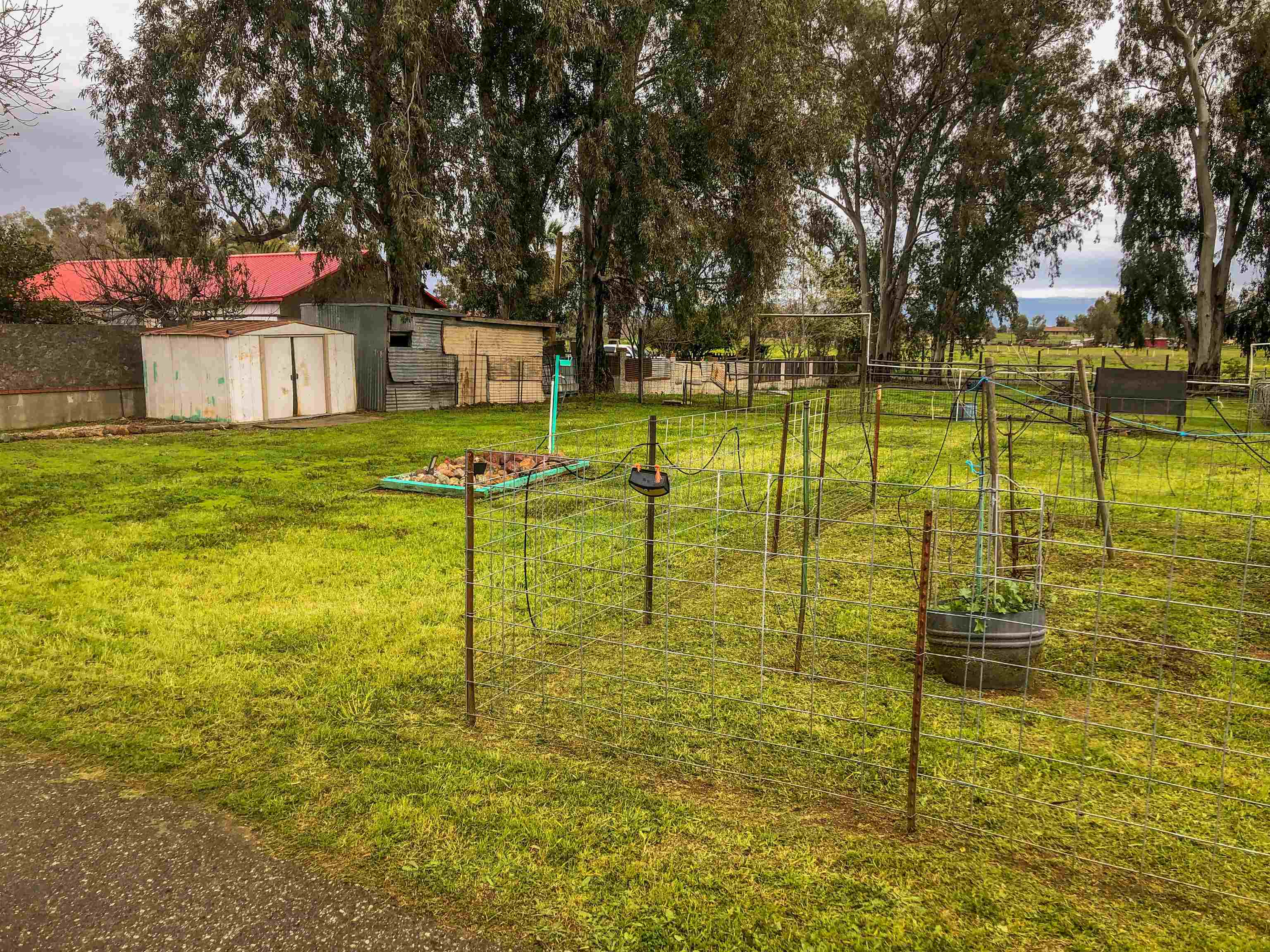 23848 Hoag Road Corning, CA 96021 - Photo 33 of 73