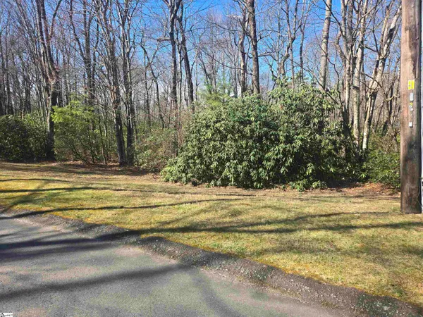 $35,000 | 319 Cliff Ridge Drive, Cleveland, SC 29635