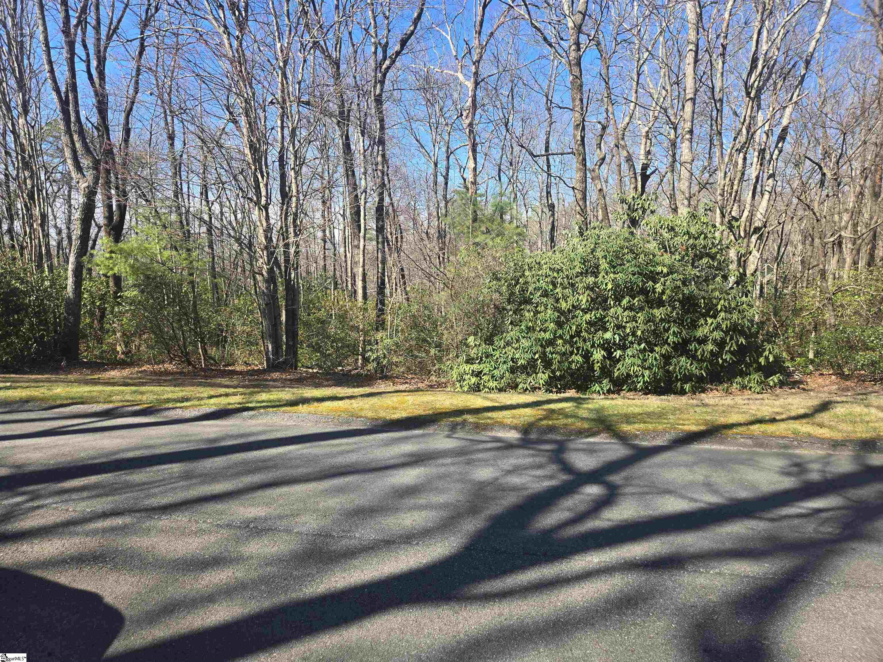319 Cliff Ridge Drive Cleveland, SC 29635 - Photo 2 of 10
