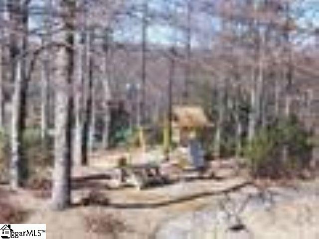319 Cliff Ridge Drive Cleveland, SC 29635 - Photo 4 of 10