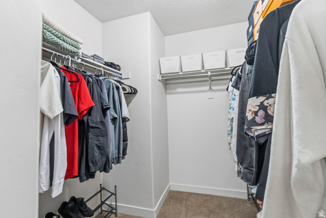 7685 Timber Country Road Eagle Mountain, UT 84005 - Photo 18 of 39 Walk-in closet featuring carpet flooring, white walls, and built-in metal shelving for organization