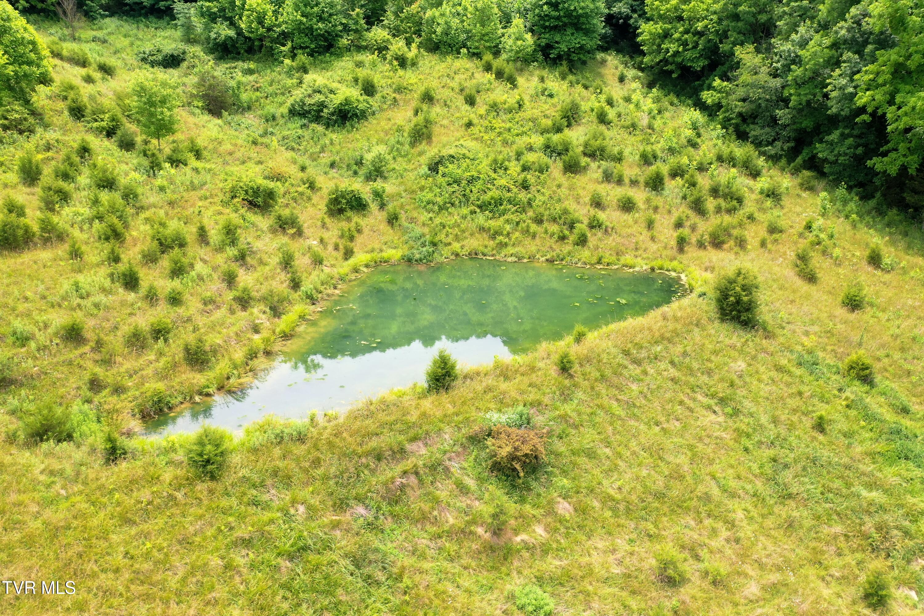 3956 Mulberry Gap Road Sneedville, TN 37869 - Photo 20 of 37 DJI_0912