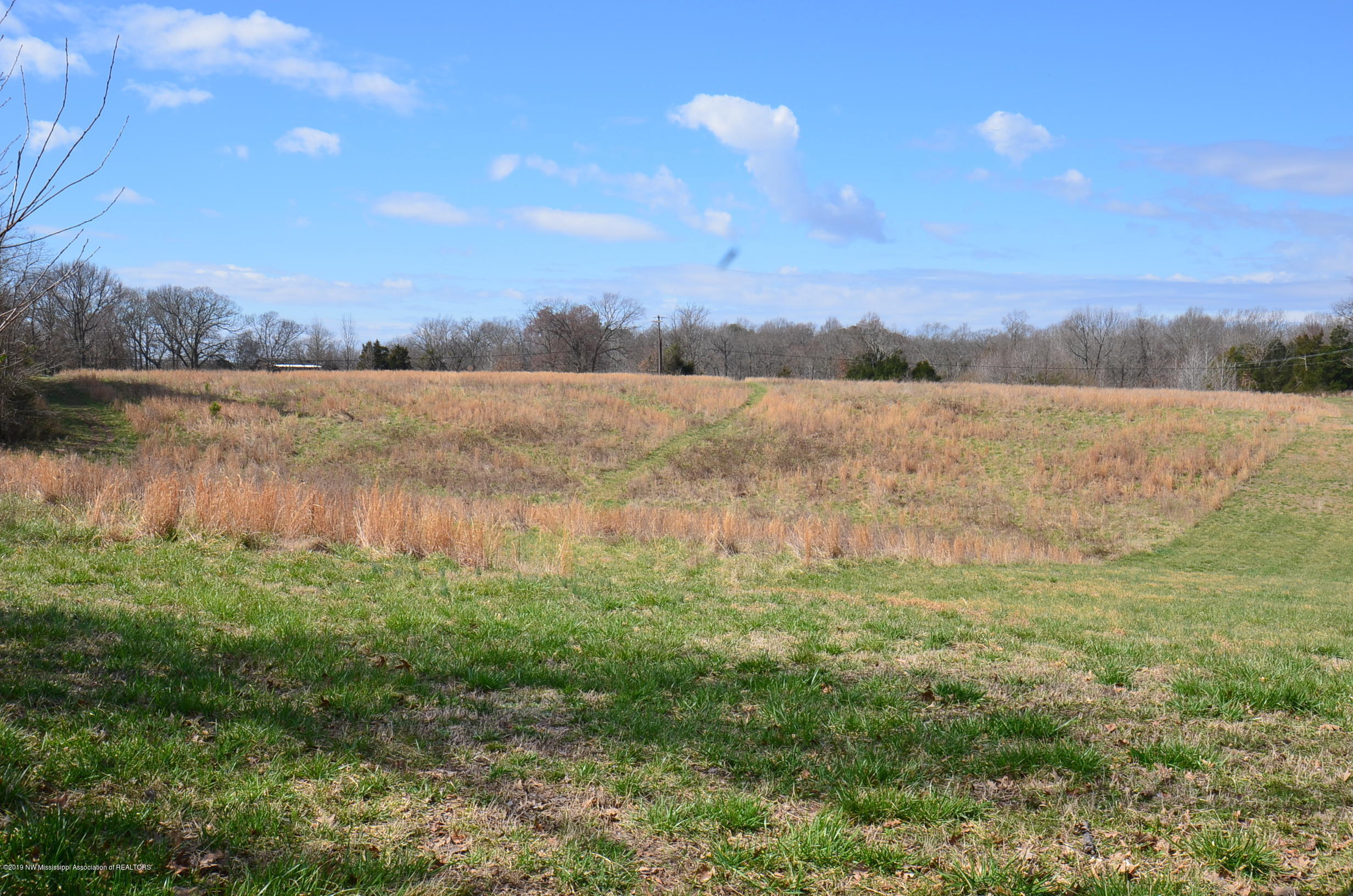 3 Arkabutla Road Coldwater, MS 38618 - Photo 4 of 4 Land