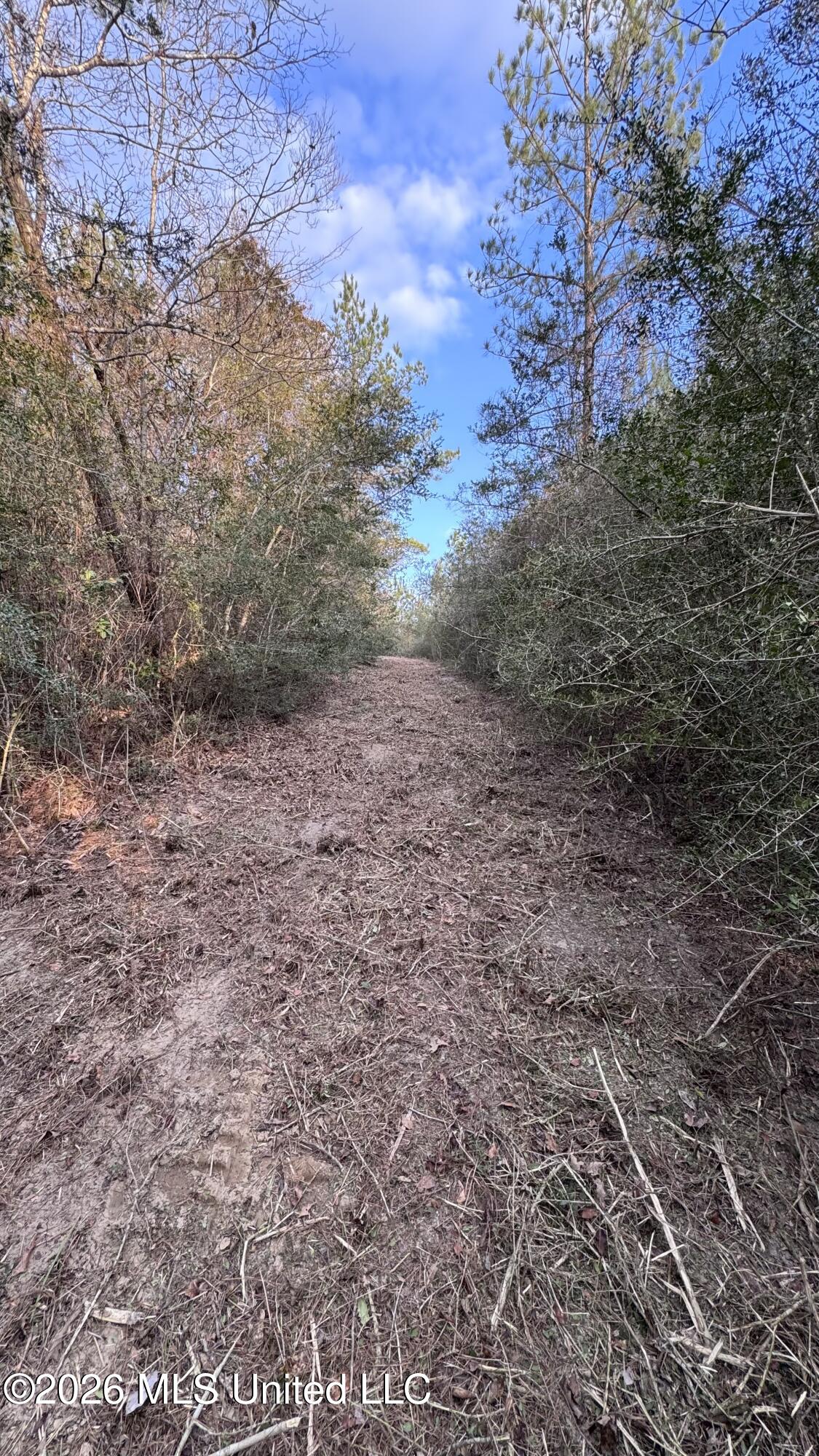 42 Mississippi State Line, MS 39362 - Photo 23 of 87 Photo Feb 13 2026, 4 34 27 PM