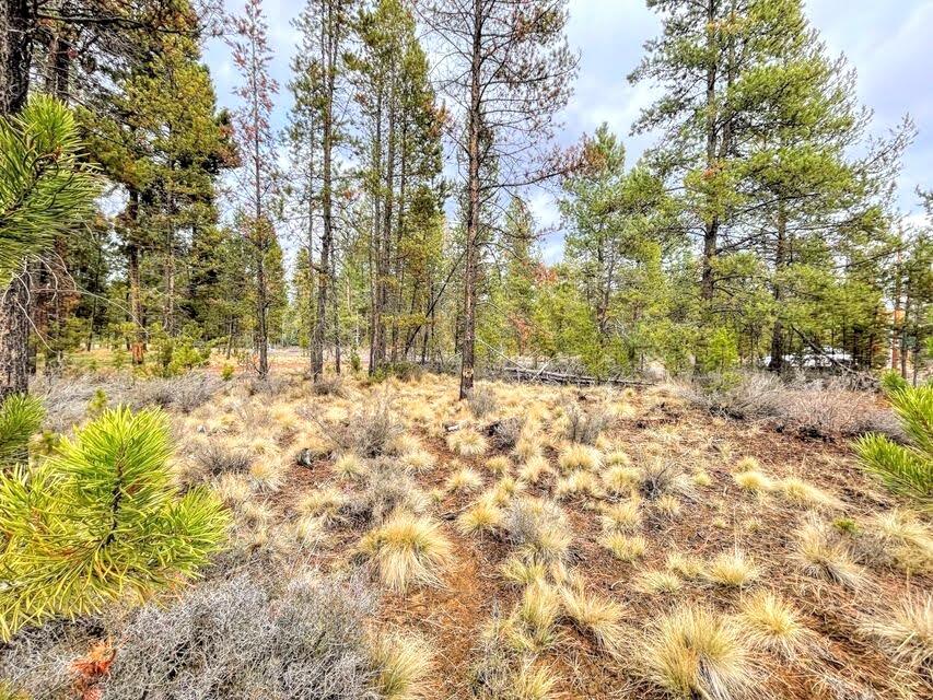 56031 Savage Road Bend, OR 97707 - Photo 2 of 10 12736