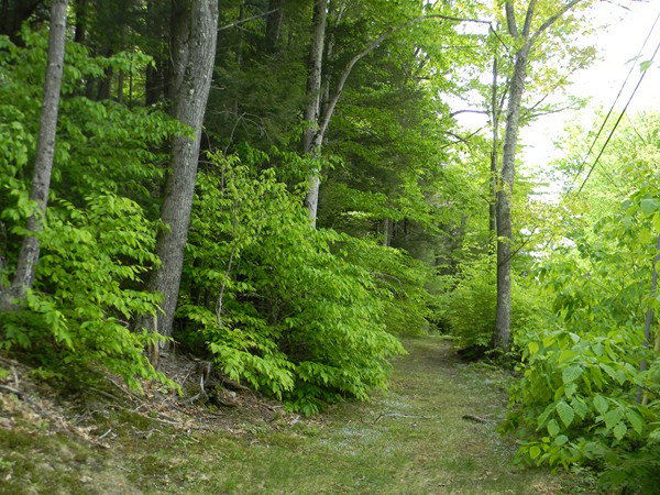 43 East Buckland Road Buckland, MA 01370 - Photo 17 of 17