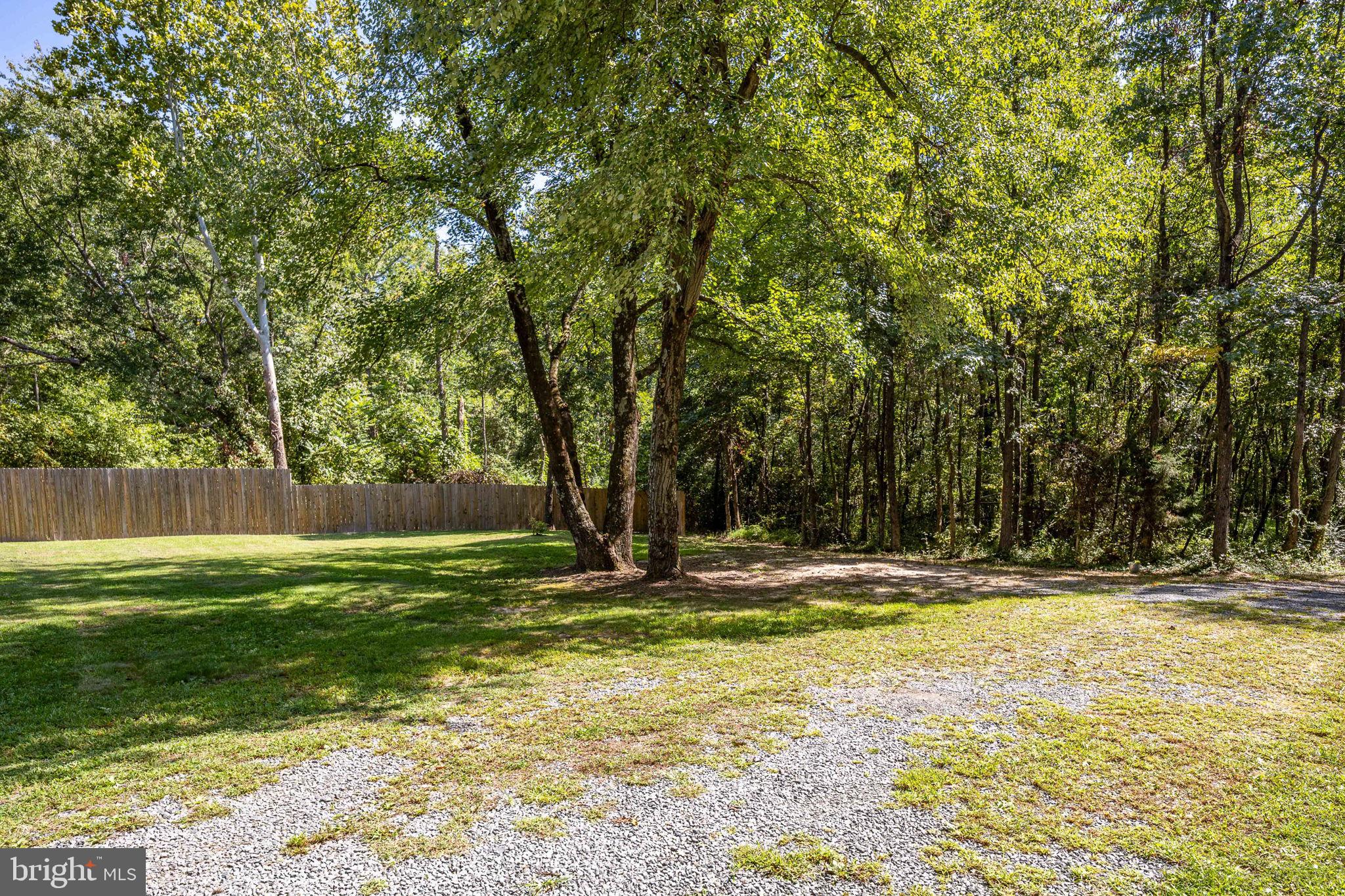 478 Truslow Road Fredericksburg, VA 22405 - Photo 17 of 87 Front yard