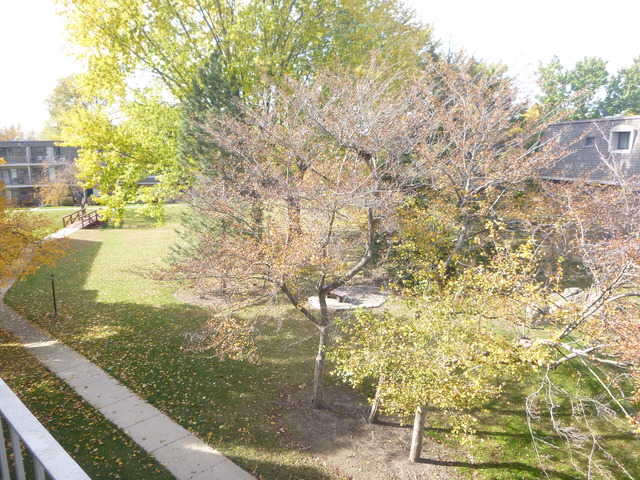 258 East Bailey Road, Unit M Naperville, IL 60565 - Photo 17 of 22