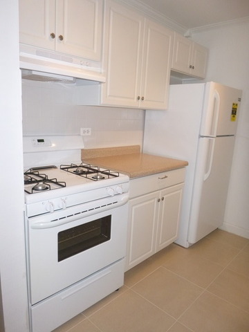 258 East Bailey Road, Unit M Naperville, IL 60565 - Photo 5 of 22