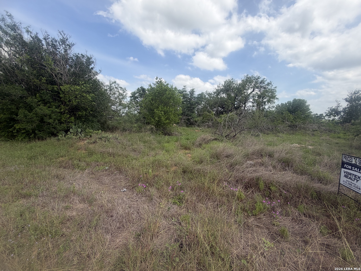 5835 Hardy Road Elmendorf, TX 78112 - Photo 2 of 5