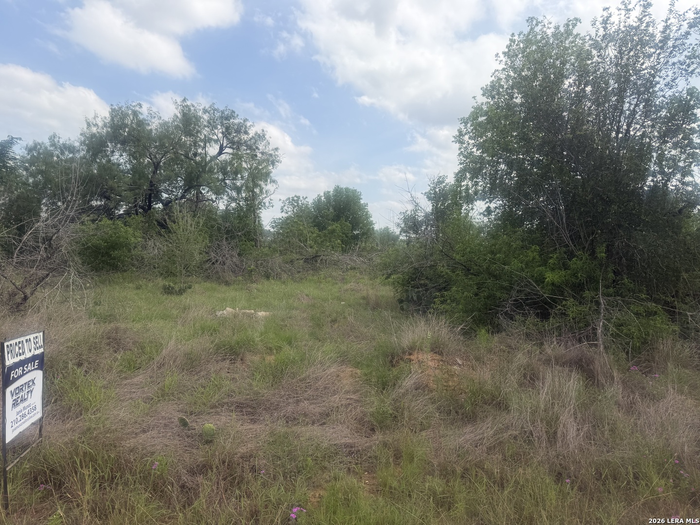 5835 Hardy Road Elmendorf, TX 78112 - Photo 3 of 5