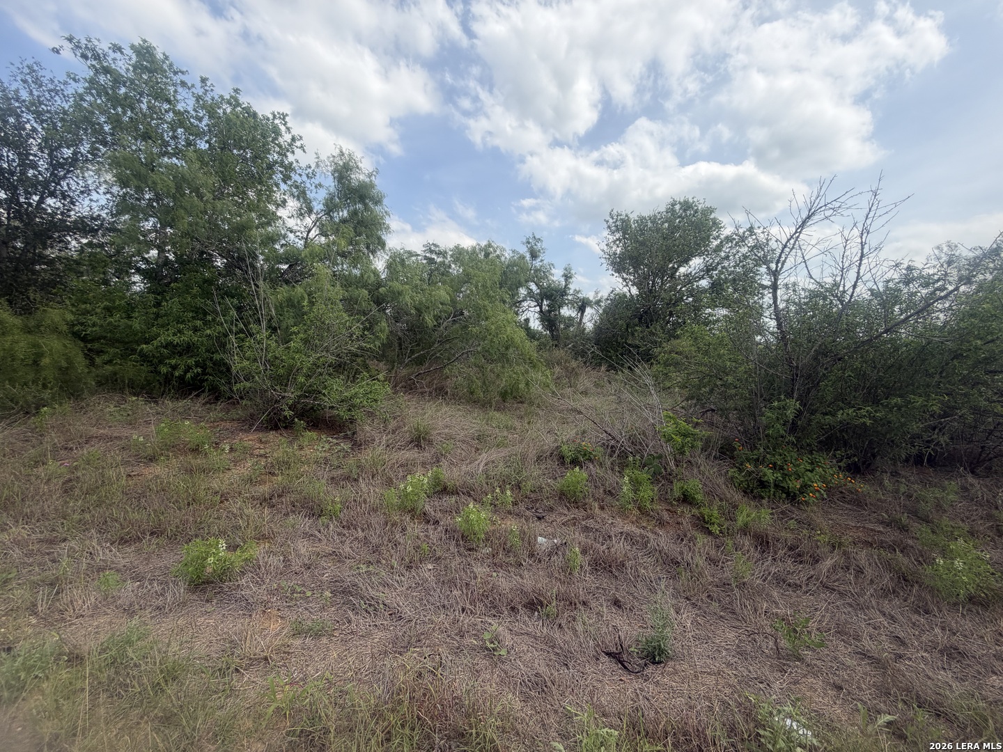 5835 Hardy Road Elmendorf, TX 78112 - Photo 4 of 5