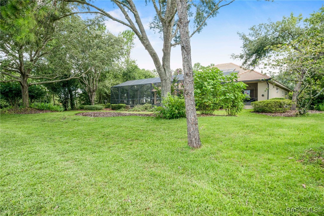 3165 West Wentworth Loop Lecanto, FL 34461 - Photo 9 of 92