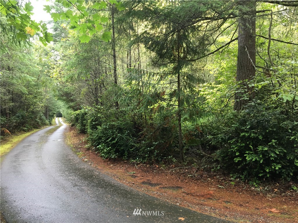 4511 Southeast Nelson Road Olalla, WA 98359 - Photo 16 of 21 Gallery Image 16