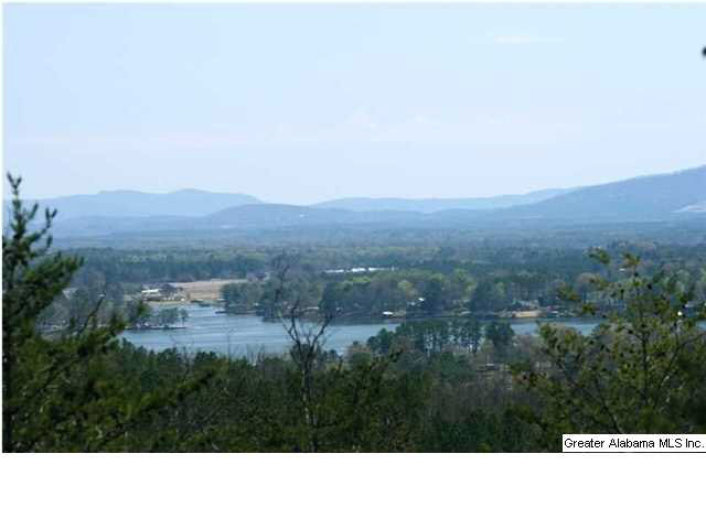 960 County Road 166 Leesburg, AL 35983 - Photo 10 of 27