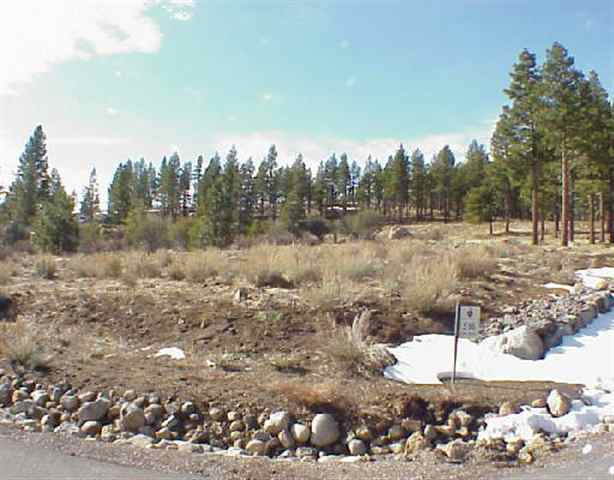 Lot516 Timbercreek Reno, NV 89511 - Photo 1 of 1 Photo 1