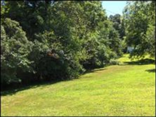 2 Mahoney Road Oliver Springs, TN 37840 - Photo 1 of 1 Primary Photo