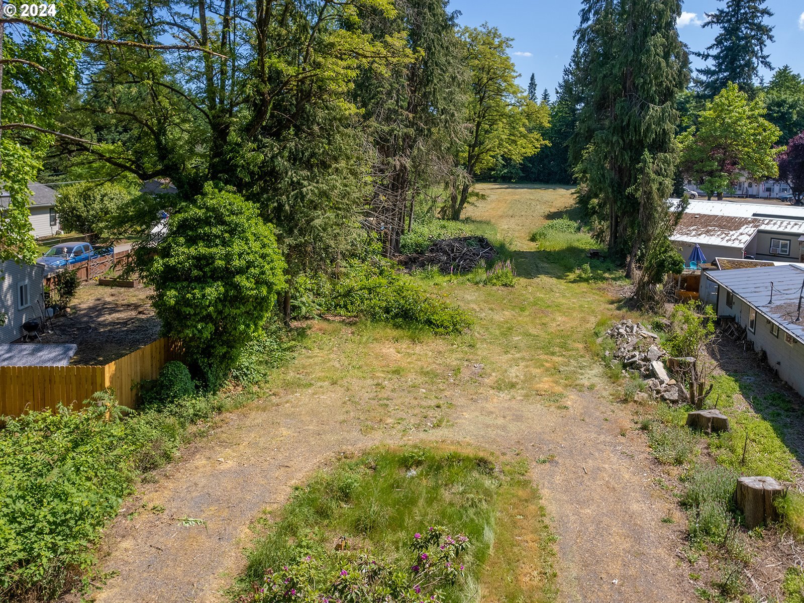 766 K Street Washougal, WA 98671 - Photo 11 of 11 a view of a yard with plants and large trees
