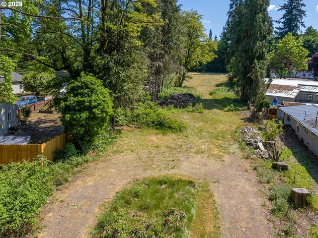 a view of a yard with plants and large trees