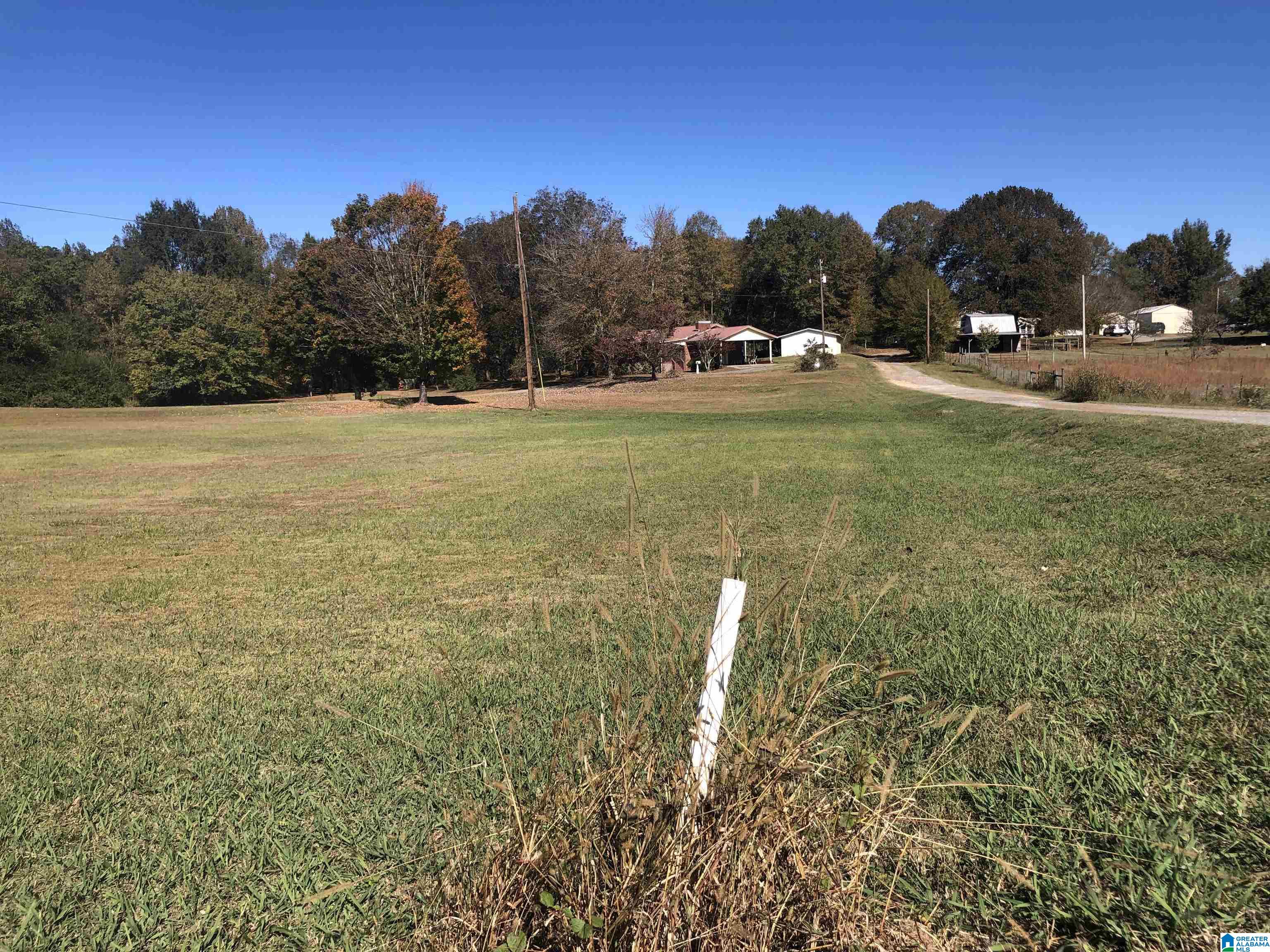 434 Flag Pole Mountain Road Childersburg, AL 35151 - Photo 14 of 71